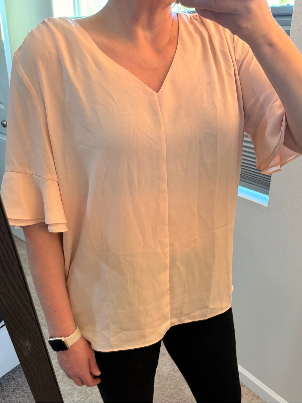 EUC Zac & Rachel Sheer Blouse